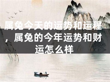 属兔今天的运势和运程，属兔的今年运势和财运怎么样