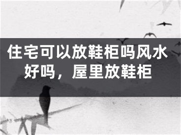 住宅可以放鞋柜吗风水好吗,屋里放鞋柜