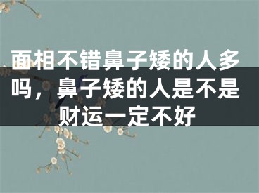 面相不错鼻子矮的人多吗,鼻子矮的人是不是财运一定不好