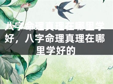 八字命理真理在哪里学好，八字命理真理在哪里学好的