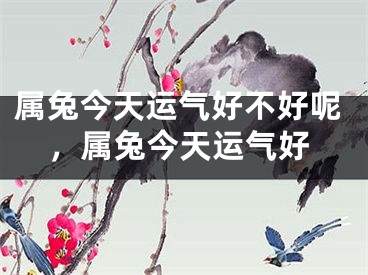属兔今天运气好不好呢，属兔今天运气好