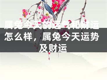 属兔今天的运气和财运怎么样，属兔今天运势及财运