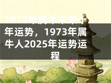 1973年属牛未来十年运势，1973年属牛人2025年运势运程