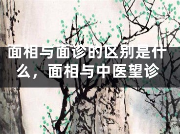 面相与面诊的区别是什么，面相与中医望诊
