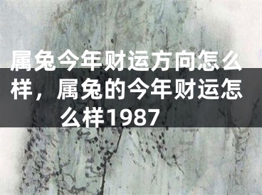 属兔今年财运方向怎么样,属兔的今年财运怎么样1987