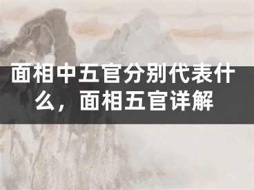 面相中五官分别代表什么,面相五官详解