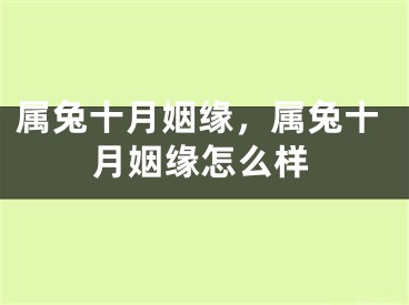 属兔十月姻缘,属兔十月姻缘怎么样