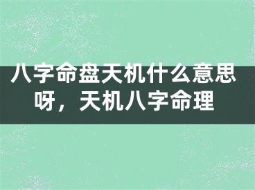 八字命盘天机什么意思呀,天机八字命理