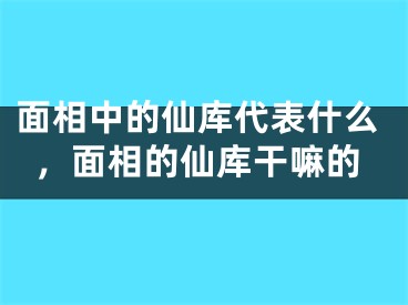 面相中的仙库代表什么,面相的仙库干嘛的