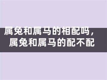 属兔和属马的相配吗,属兔和属马的配不配