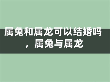 属兔和属龙可以结婚吗,属兔与属龙