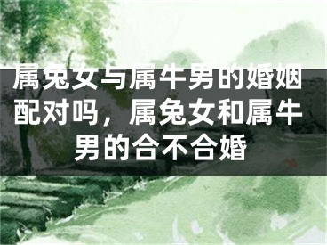 属兔女与属牛男的婚姻配对吗,属兔女和属牛男的合不合婚