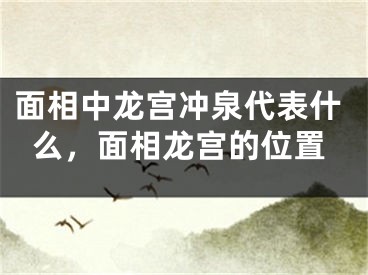 面相中龙宫冲泉代表什么,面相龙宫的位置