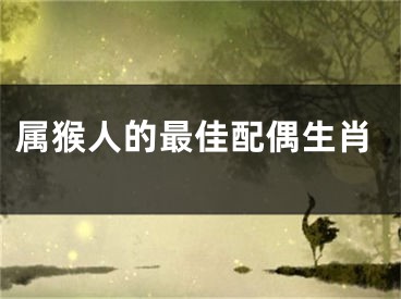 属猴人的最佳配偶生肖