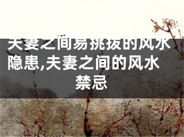 夫妻之间易挑拨的风水隐患,夫妻之间的风水禁忌