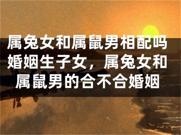 属兔女和属鼠男相配吗婚姻生子女，属兔女和属鼠男的合不合婚姻