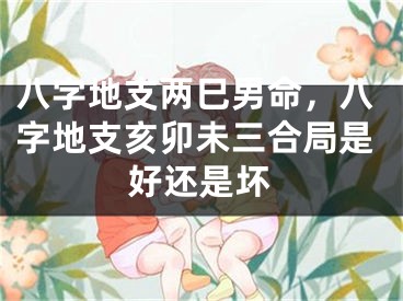 八字地支两巳男命，八字地支亥卯未三合局是好还是坏
