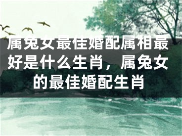 属兔女最佳婚配属相最好是什么生肖,属兔女的最佳婚配生肖