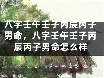 八字壬午壬子丙辰丙子男命,八字壬午壬子丙辰丙子男命怎么样