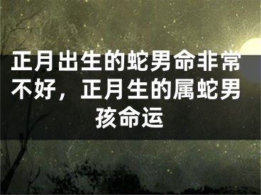 正月出生的蛇男命非常不好,正月生的属蛇男孩命运