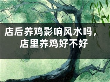 店后养鸡影响风水吗，店里养鸡好不好