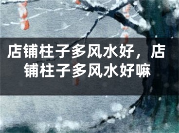 店铺柱子多风水好，店铺柱子多风水好嘛