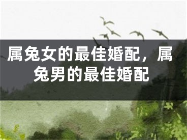 属兔女的最佳婚配,属兔男的最佳婚配