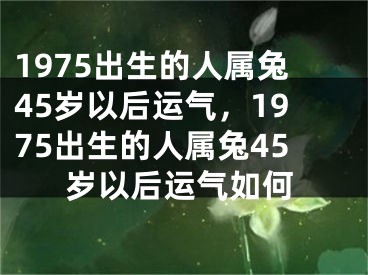 1975出生的人属兔45岁以后运气,1975出生的人属兔45岁以后运气如何