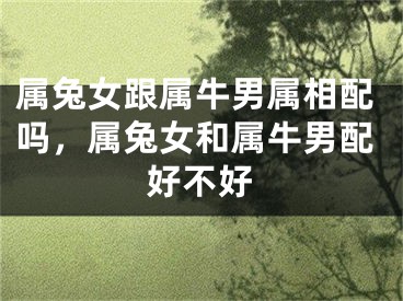 属兔女跟属牛男属相配吗,属兔女和属牛男配好不好