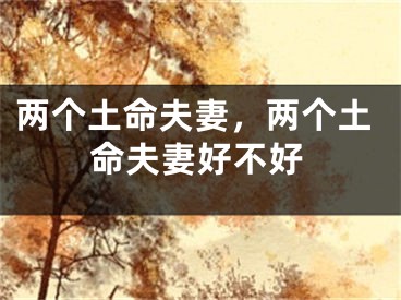 两个土命夫妻,两个土命夫妻好不好