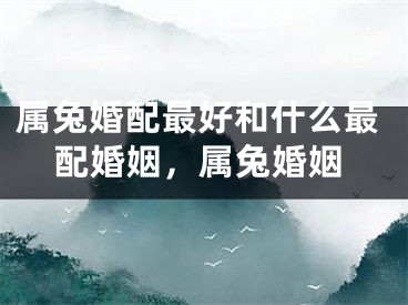 属兔婚配最好和什么最配婚姻,属兔婚姻