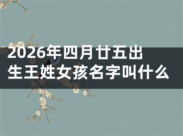 2026年四月廿五出生王姓女孩名字叫什么