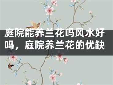 庭院能养兰花吗风水好吗,庭院养兰花的优缺