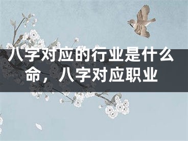 八字对应的行业是什么命,八字对应职业