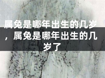 属兔是哪年出生的几岁,属兔是哪年出生的几岁了