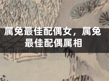 属兔最佳配偶女,属兔最佳配偶属相