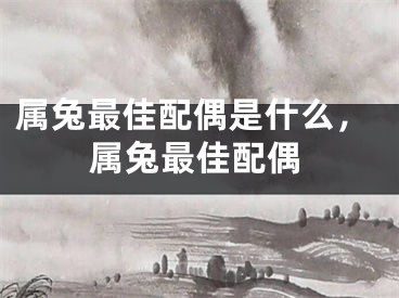 属兔最佳配偶是什么,属兔最佳配偶