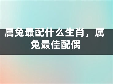 属兔最配什么生肖,属兔最佳配偶
