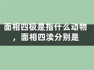 面相四极是指什么动物，面相四渎分别是