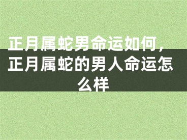 正月属蛇男命运如何,正月属蛇的男人命运怎么样