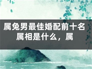 属兔男最佳婚配前十名属相是什么,属