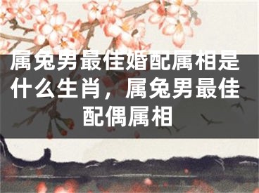 属兔男最佳婚配属相是什么生肖,属兔男最佳配偶属相
