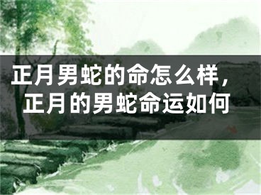 正月男蛇的命怎么样,正月的男蛇命运如何