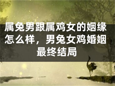 属兔男跟属鸡女的姻缘怎么样,男兔女鸡婚姻最终结局