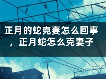 正月的蛇克妻怎么回事,正月蛇怎么克妻子