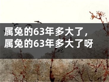 属兔的63年多大了,属兔的63年多大了呀