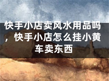 快手小店卖风水用品吗，快手小店怎么挂小黄车卖东西
