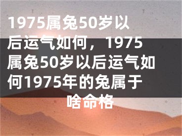 1975属兔50岁以后运气如何，1975属兔50岁以后运气如何1975年的兔属于啥命格