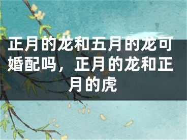 正月的龙和五月的龙可婚配吗,正月的龙和正月的虎