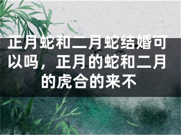 正月蛇和二月蛇结婚可以吗,正月的蛇和二月的虎合的来不